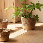 Handmade Seagrass Wicker Planter