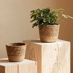 Handmade Seagrass Wicker Planter