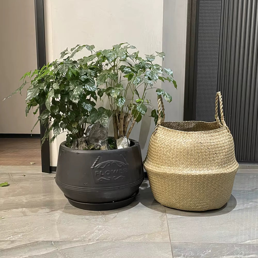 Kauna Sea Grass Wicker Storage Basket - Wide