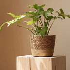 Handmade Seagrass Wicker Planter