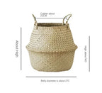 Eco-Friendly Tropical Sea Grass Wicker Storage Basket